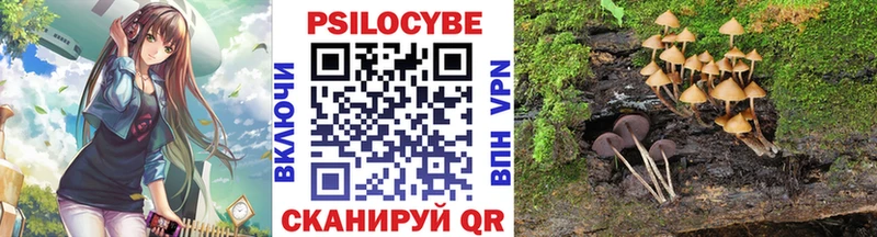 Купить закладки  Струнино  Псилоцибиновые грибы прущие грибы 