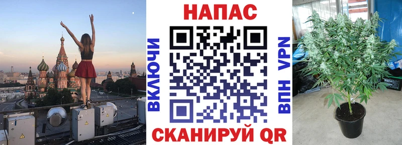 Купить где  Струнино  Марихуана конопля 